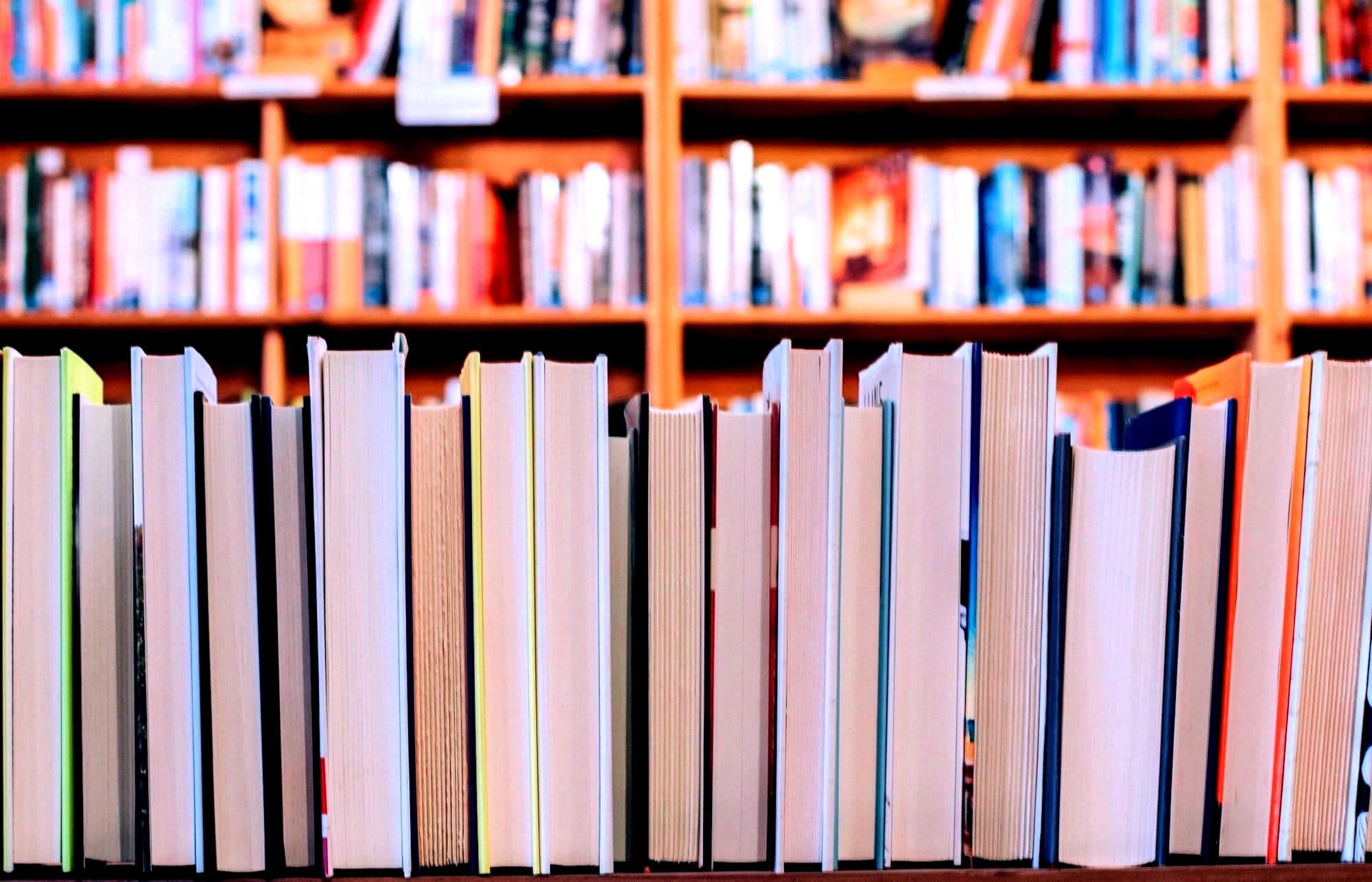 Lulu's House of Books